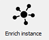 enrich_existing_instance_button